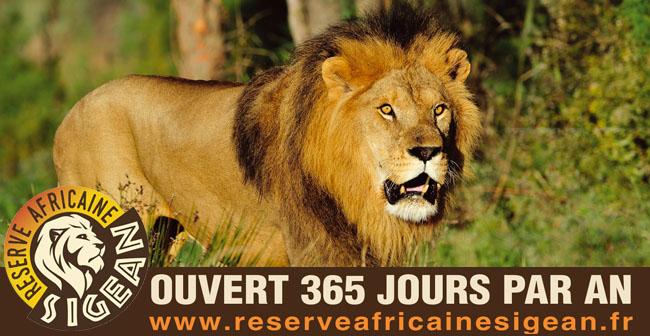 Tentez de gagner des entrées pour la Réserve Africaine de Sigean