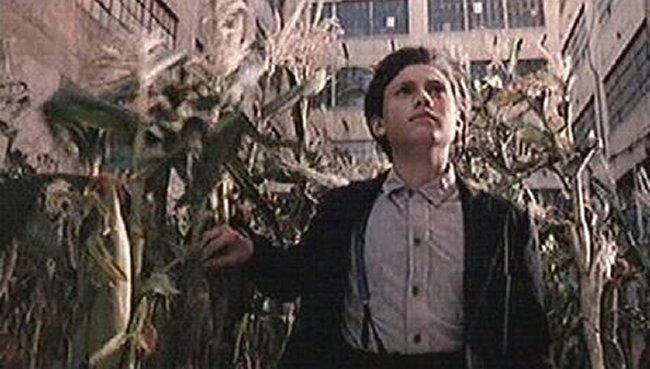 Les Démons du Maïs III - Les Moissons de la Terreur